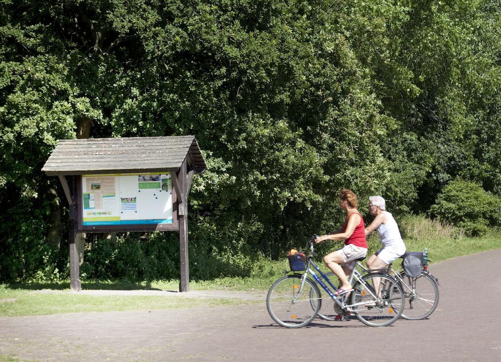Bungalows - Bungalowpark Mooyeveld - Uniek Gelegen In De Duinen! Egmond-Binnen Exteriör bild