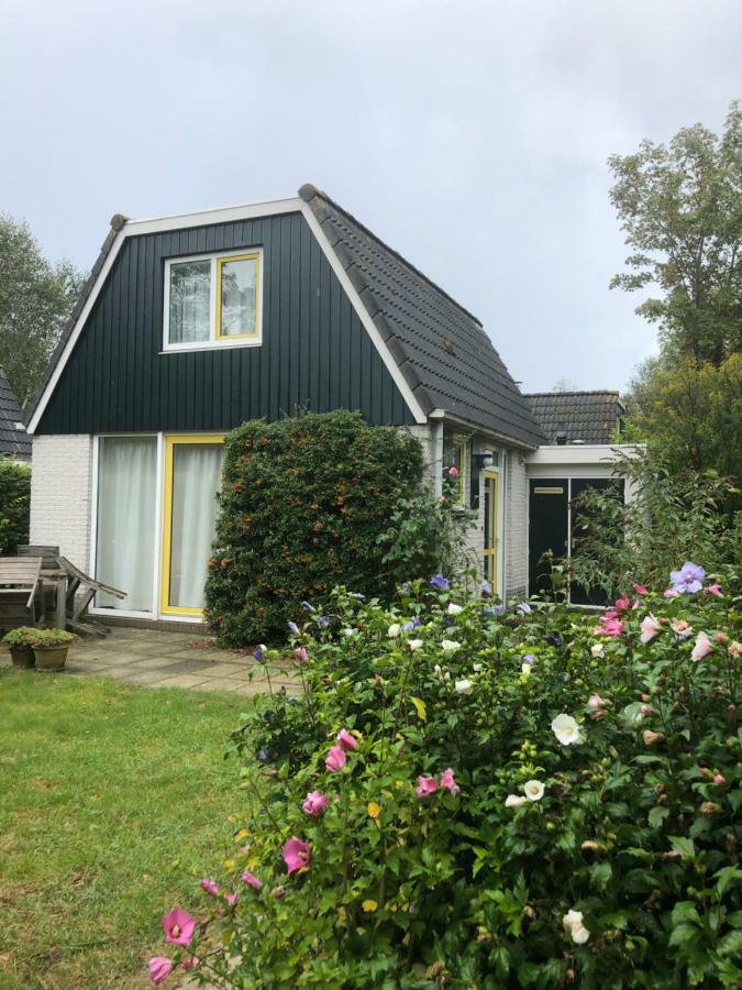 Bungalows - Bungalowpark Mooyeveld - Uniek Gelegen In De Duinen! Egmond-Binnen Rum bild